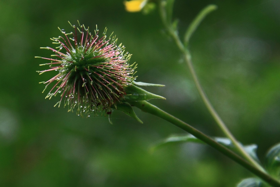 调整大小 IMG_0104.JPG