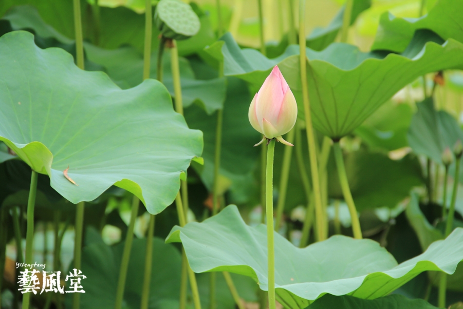 照片 011.jpg
