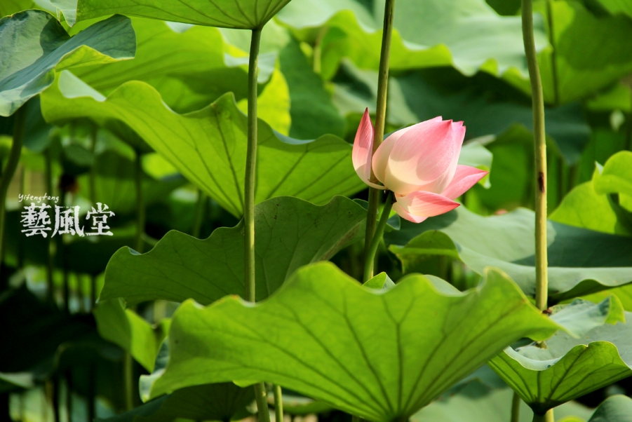 照片 051.jpg