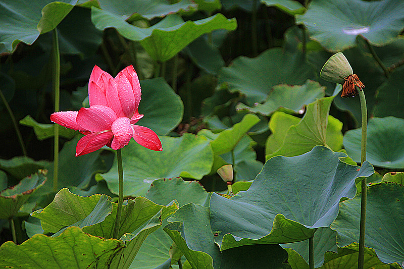 公园 012_副本.jpg