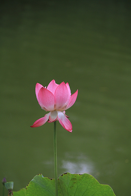 公园 020_副本.jpg