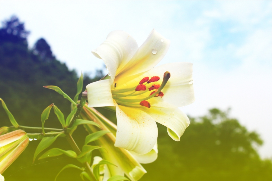 照片 062_meitu_3.jpg