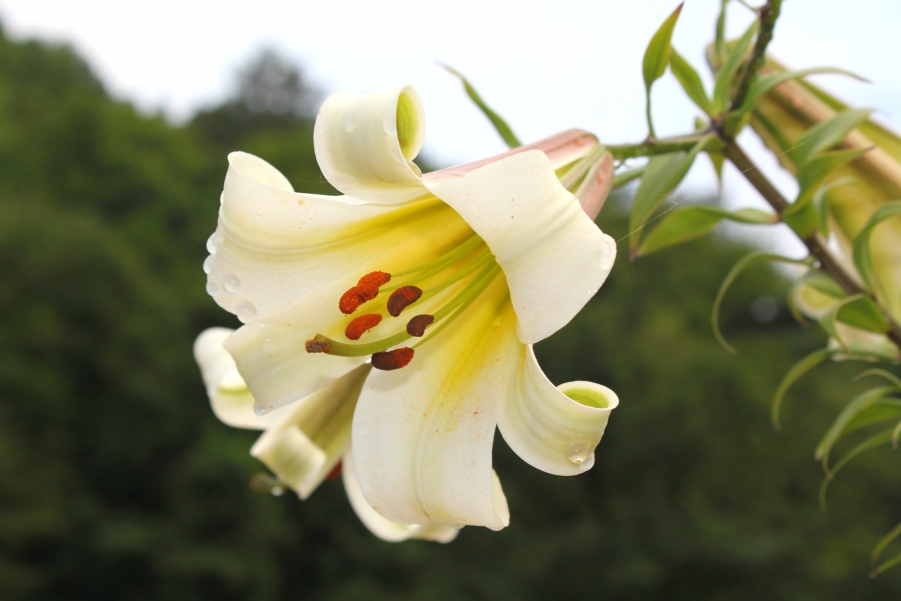 照片 063_meitu_6.jpg