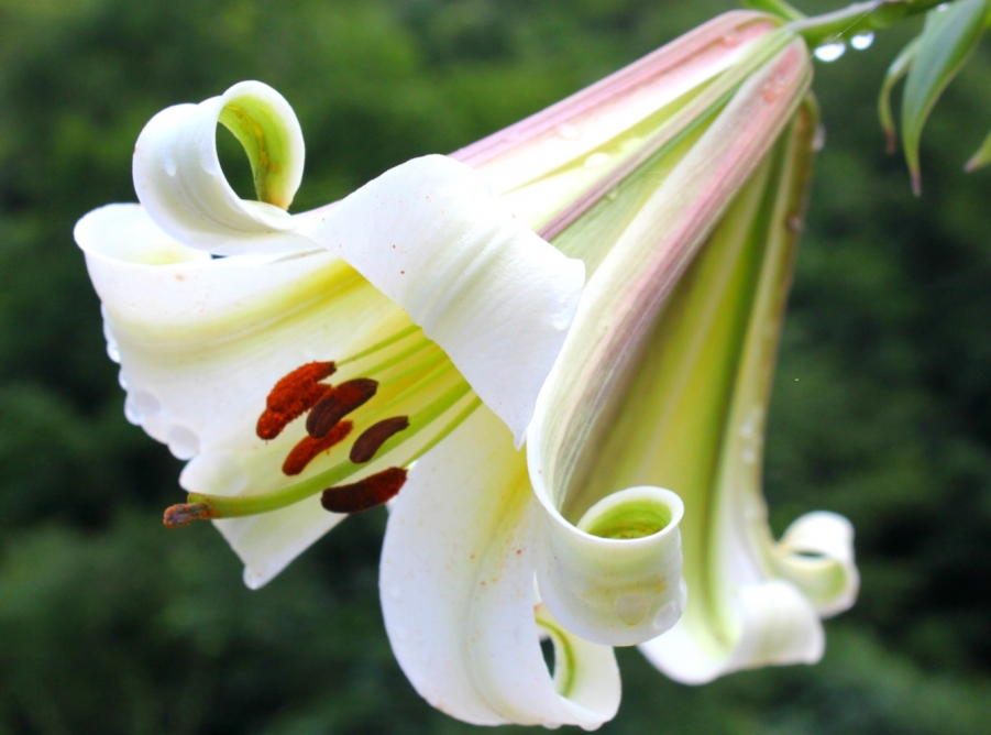 照片 065_meitu_8.jpg