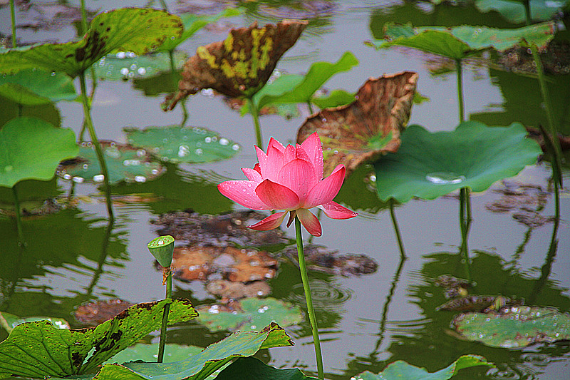 公园 023_副本.jpg