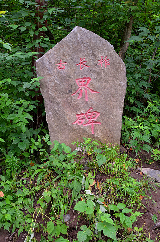 照片 056_副本.jpg