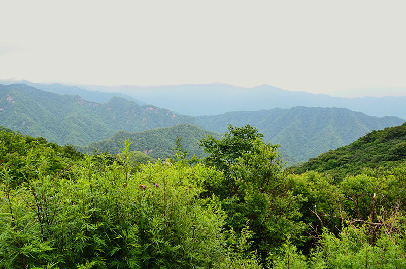 照片 003_副本.jpg