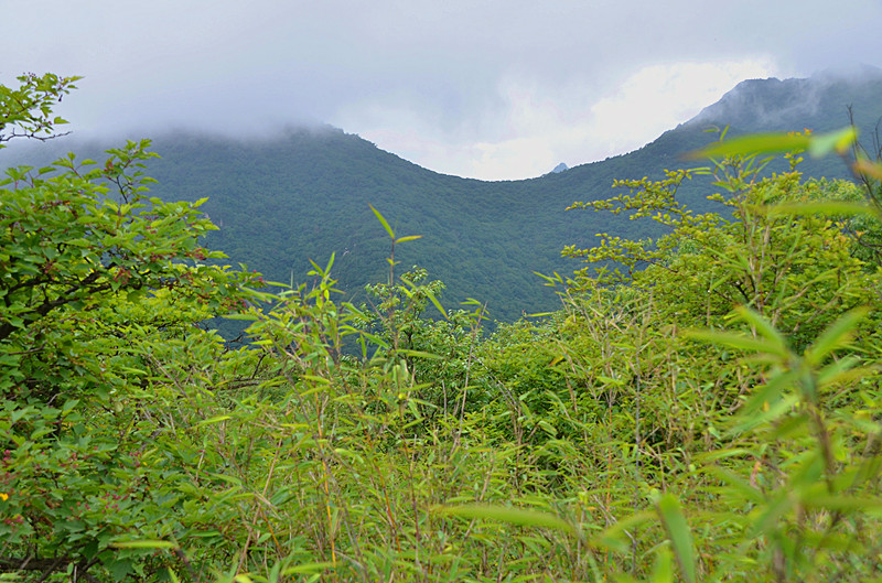 照片 081_副本.jpg