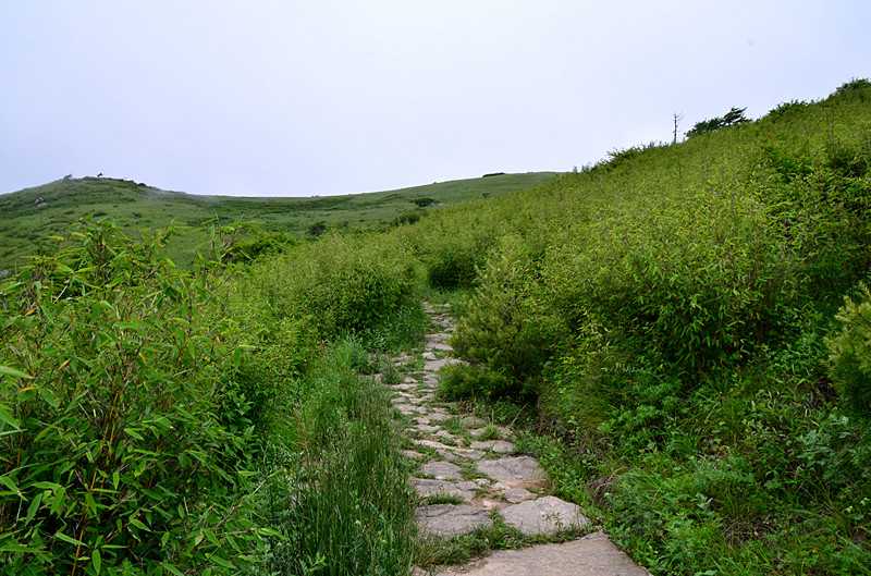 照片 084_副本.jpg