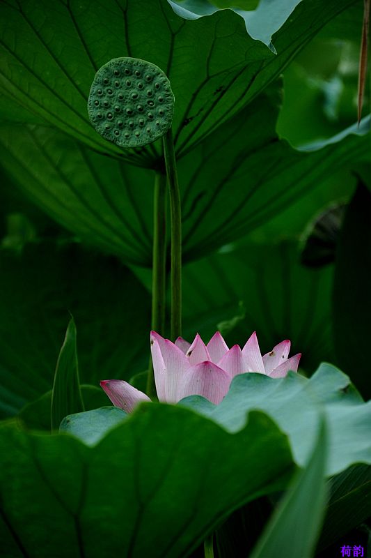 0SC_5444.jpg