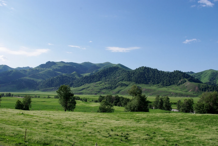 IMGP8111.jpg