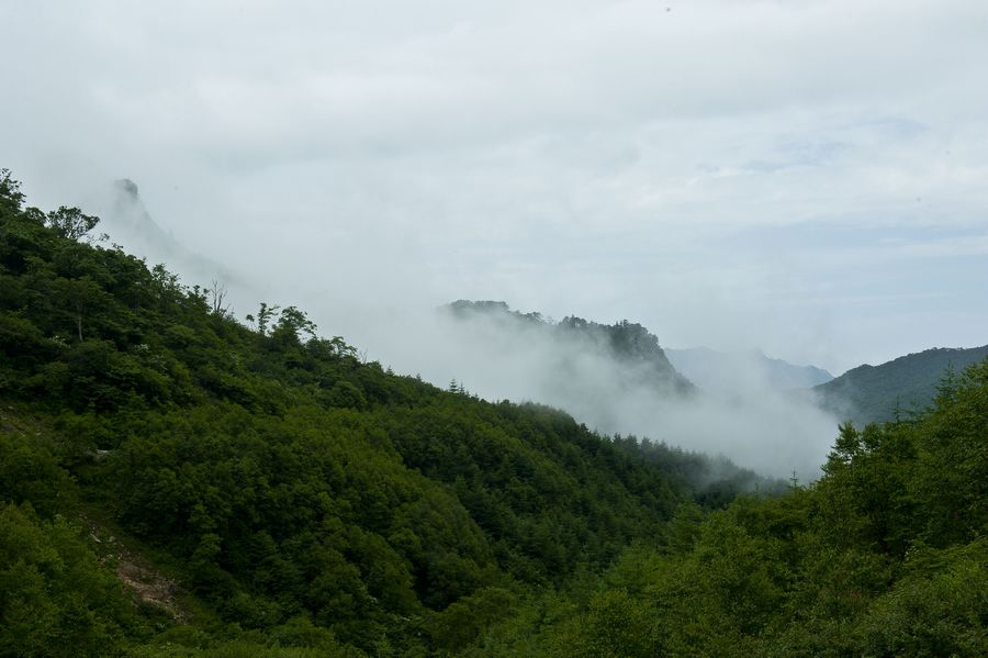DSC_9410.jpg