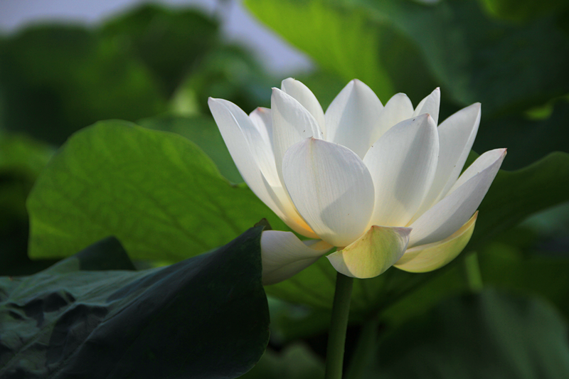 公园 052_副本.jpg