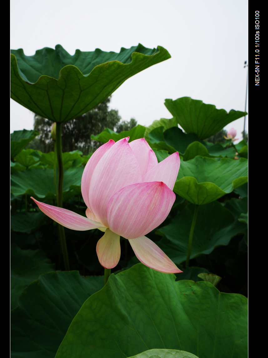 DSC05903.jpg