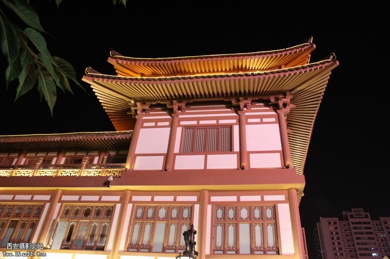 IMG_9714.jpg