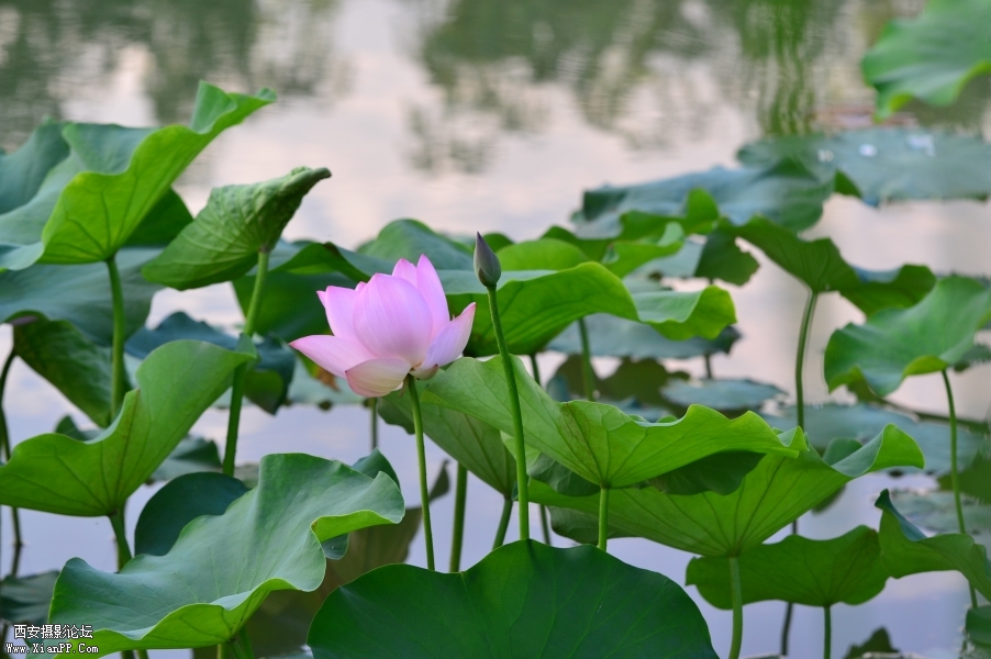 照片 036.jpg
