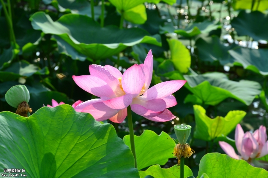 照片 124.jpg