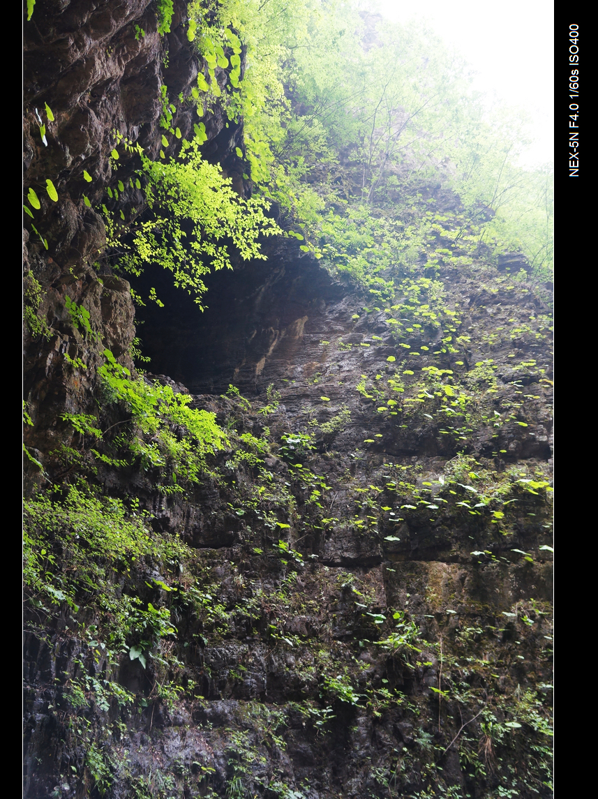 DSC06070.jpg