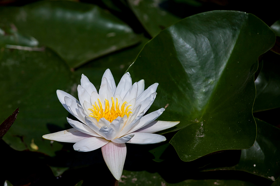 DPP_0012.JPG
