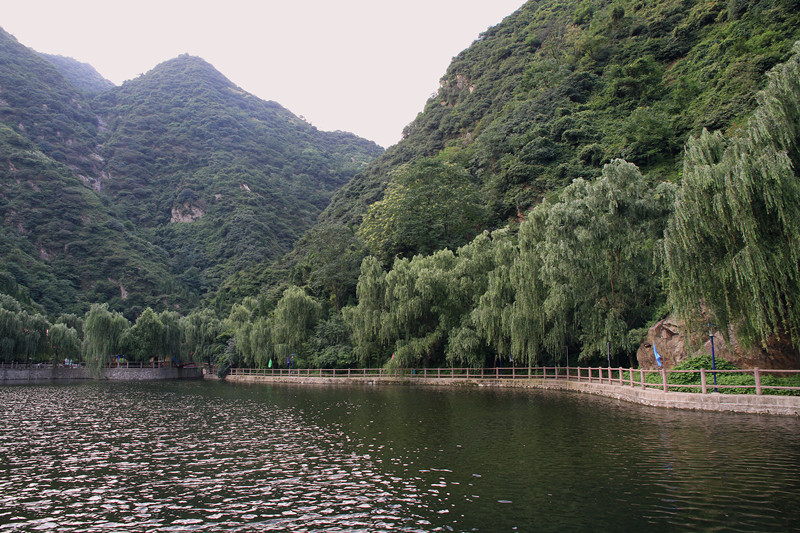 金 008_副本_副本.jpg