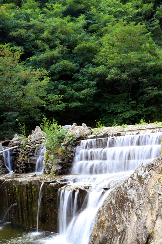 金 024_副本_副本.jpg