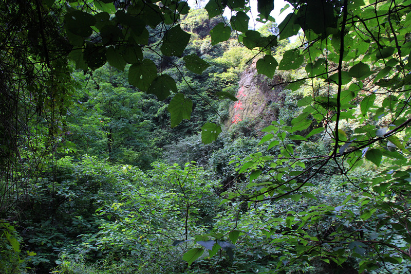 金 048_副本_副本.jpg