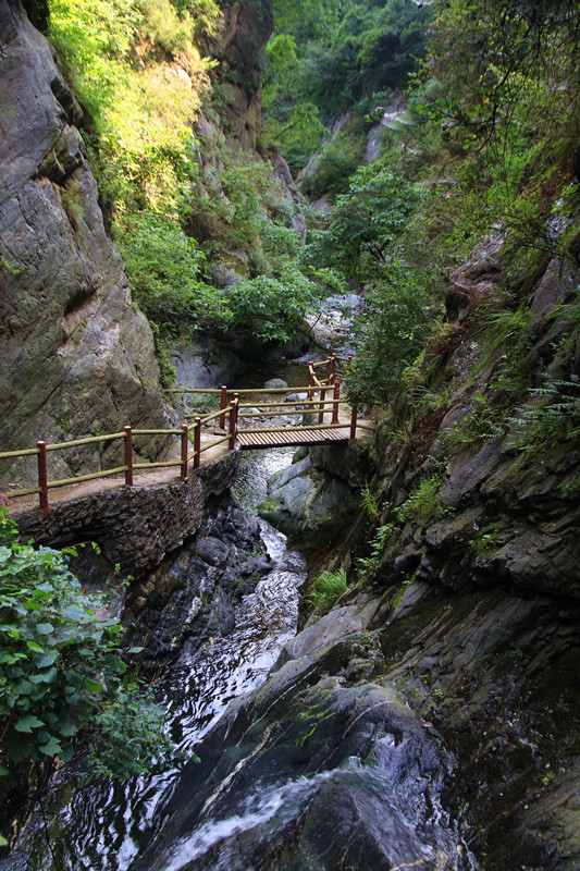 金 077_副本_副本.jpg