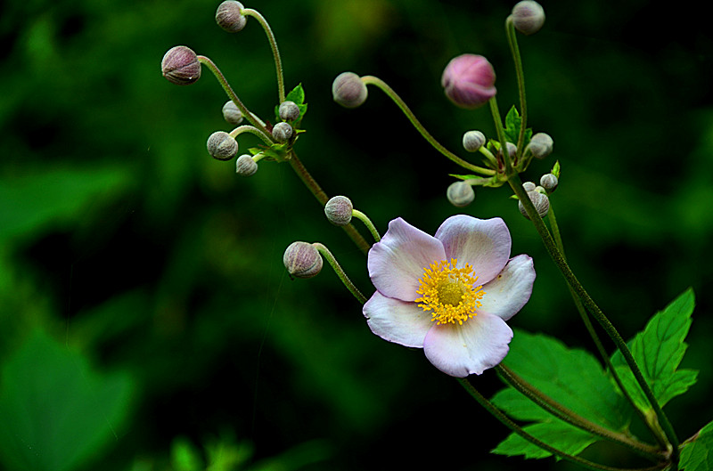 照片 034_副本.jpg