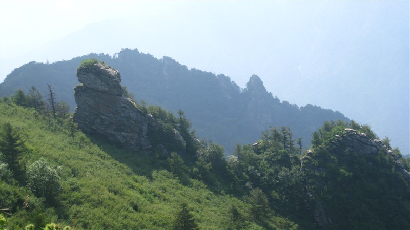 照片 102.jpg
