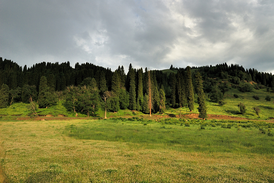 _DSC0144.jpg