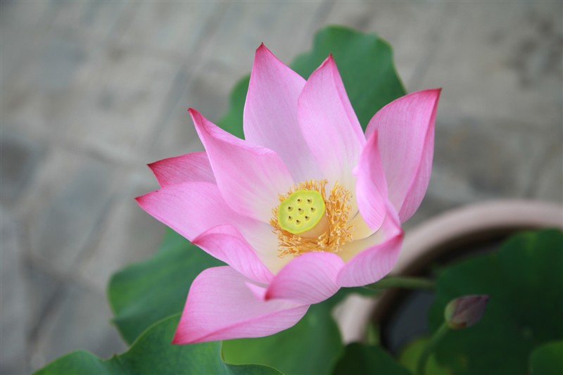 照片 003.jpg