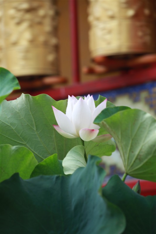 照片 033.jpg
