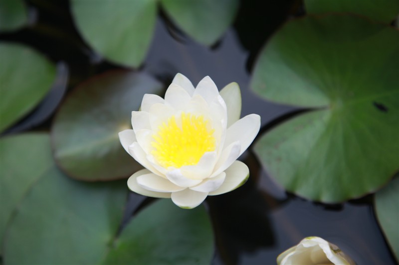 照片 043.jpg