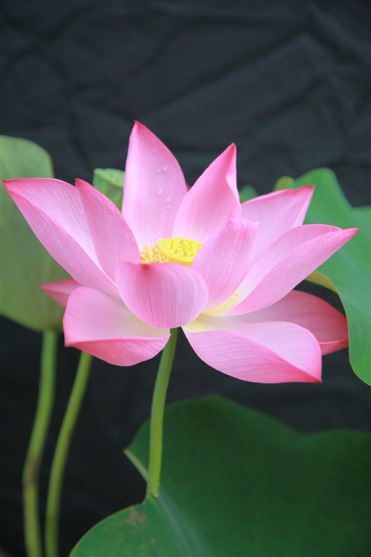 照片 068.jpg