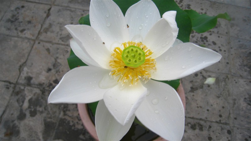 照片 072.jpg