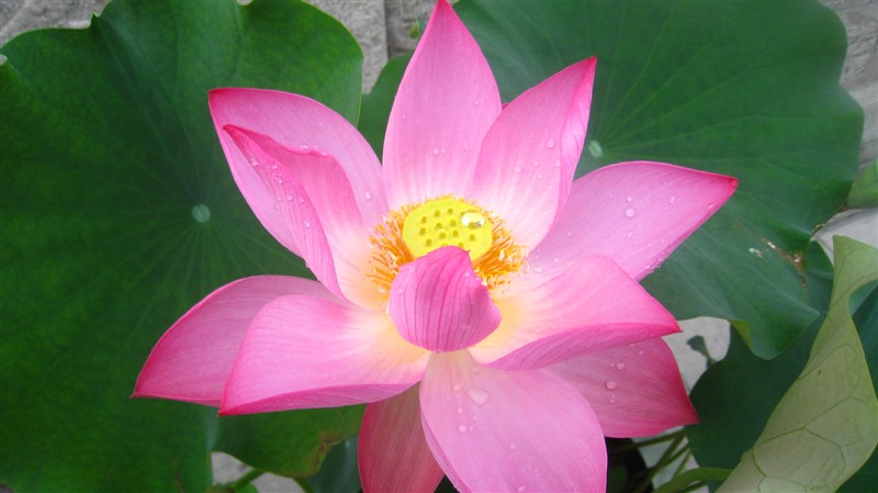 照片 082.jpg