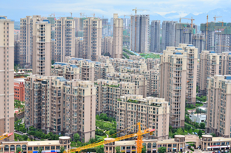 照片 005_副本.jpg