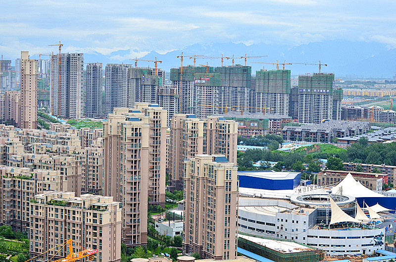 照片 010_副本.jpg