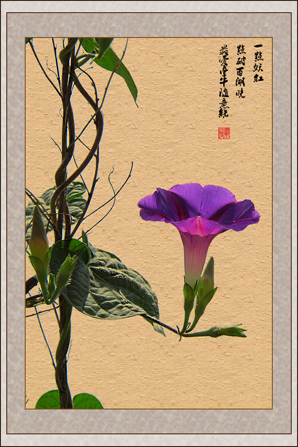 a17405036_01000.jpg