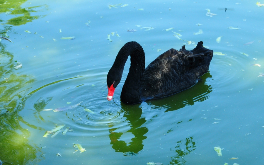 荡起波澜又一波