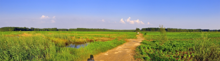 “全景图 2”为智能对象-1a.jpg