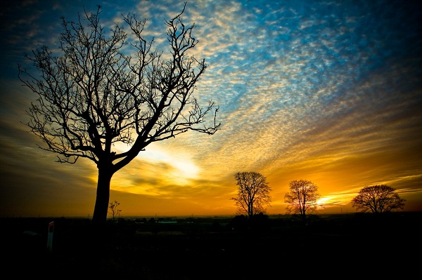 nature-sunset- By Voetmann.jpg