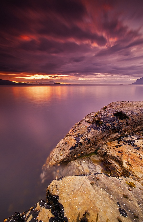 Night Life By Johnny.jpg