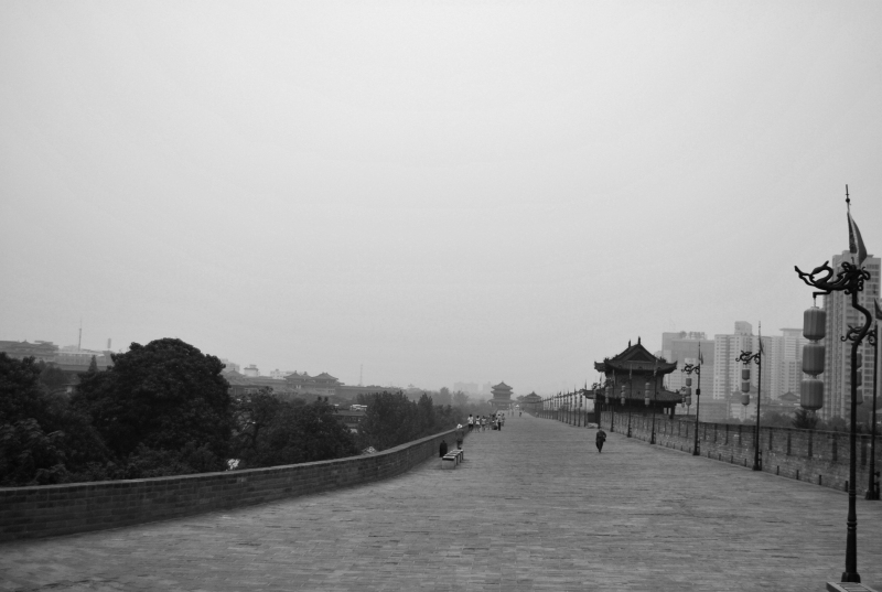 DSC_4957.jpg