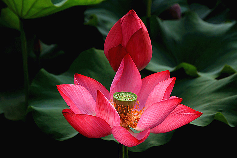 户县 010_副本.jpg