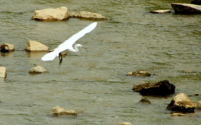 DSC06332.JPG