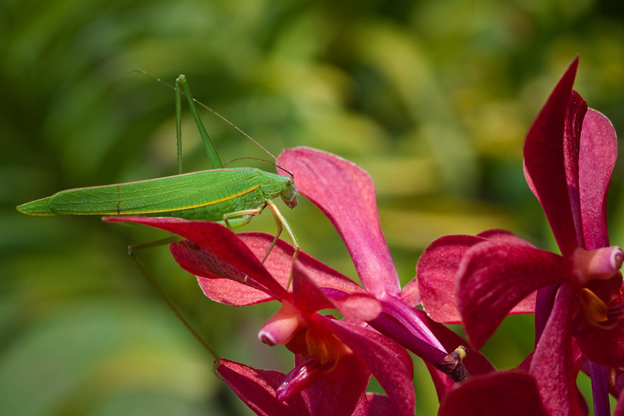 DSC04813.jpg
