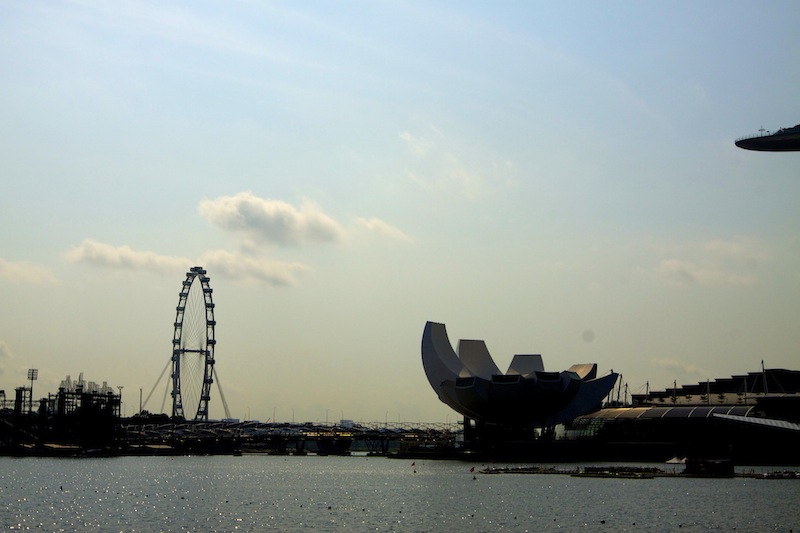 _MG_2590.jpg