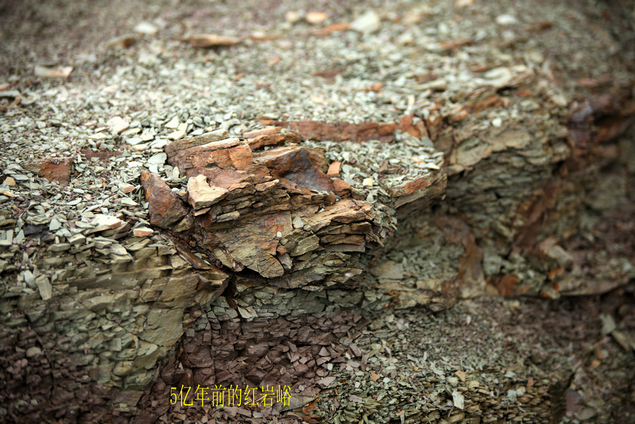 201208老，小刘山西游。192.JPG