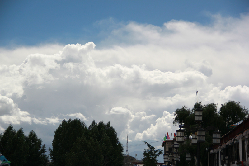 IMG_5358.JPG
